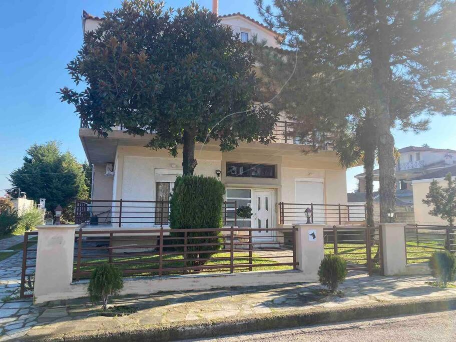 Family'S Home Trikala Esterno foto